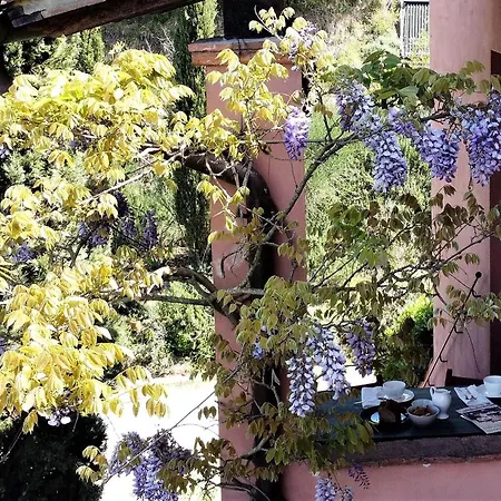 Farm stay Agriturismo Settesoldi *