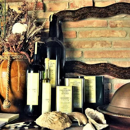 Farm stay Agriturismo Settesoldi *
